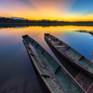 Amazonas